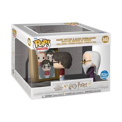 Harry Potter - Harry and Dumbledore with Mirror of Erised [Damaged Box] #145