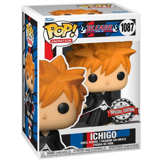 Bleach- Ichigo [Special Edition Imperfect Box] #1087
